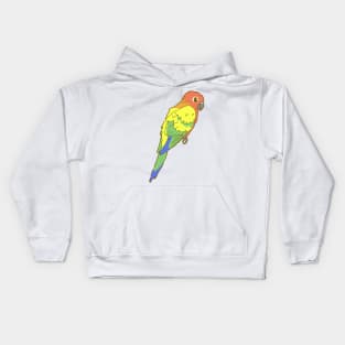 Rainbow Sun Conure Kids Hoodie